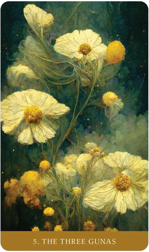 The Path of Light Oracle Cards